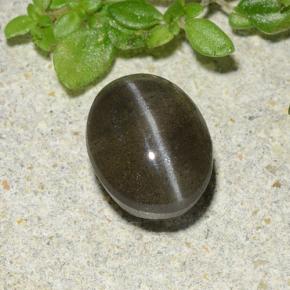 Cat's eye scapolite preto natural 1,46ct, corte oval, translúcido