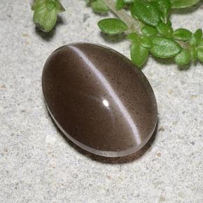Cat's eye scapolite marrom natural 2,20ct, corte oval, translúcido