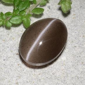 Cat's eye scapolite marrom natural 2,20ct, corte oval, translúcido