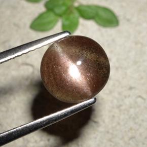 Cat's eye scapolite marrom natural 1,76ct, corte redondo, translúcido
