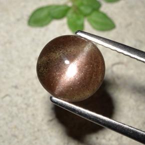 Cat's eye scapolite marrom natural 1,76ct, corte redondo, translúcido