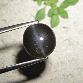 Cat's eye scapolite preto natural 3,23ct, corte redondo, opaco