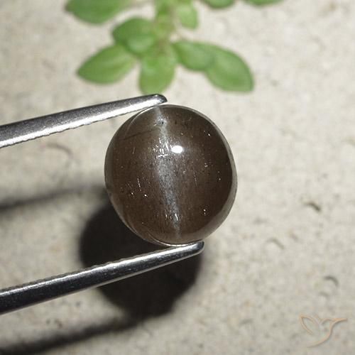 2.56ct Natural Castanho médio Escapolita Olho de Gato, Redondo, Translúcido