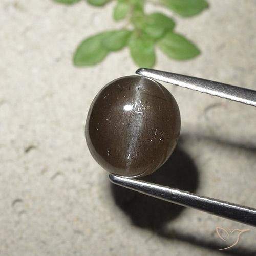 Escapolita Olho de Gato Castanho médio Natural 2.56ct, Redondo, Translúcido