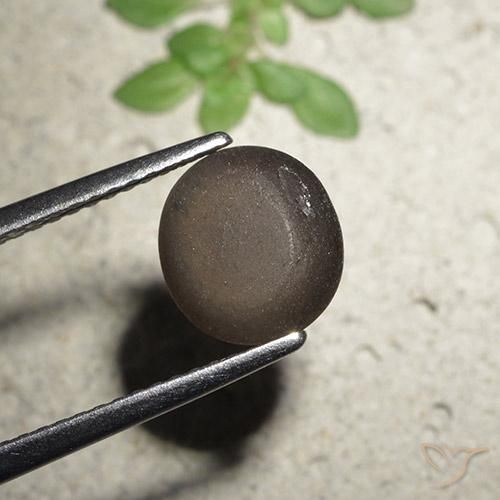 Escapolita Olho de Gato Castanho médio Natural 2.56ct, Redondo, Translúcido