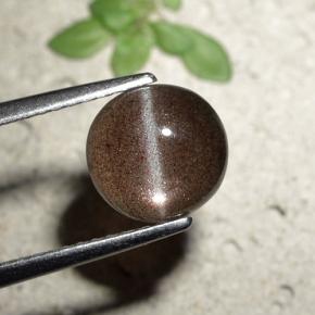 Cat's eye scapolite marrom natural 1,80ct, corte redondo, translúcido