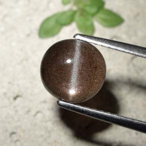 Cat's eye scapolite marrom natural 1,80ct, corte redondo, translúcido