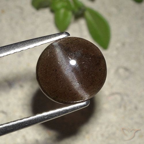 Cat's eye scapolite marrom natural 2,01ct, corte redondo, translúcido