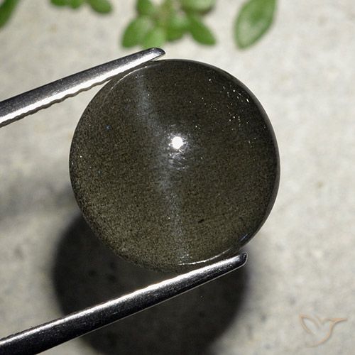 6.50ct Natural Preto Escapolita Olho de Gato, Redondo, Translúcido
