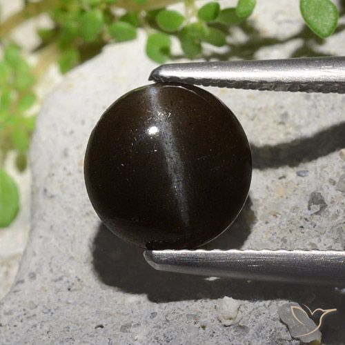 2.55ct Natural Preto Escapolita Olho de Gato, Redondo, Translúcido