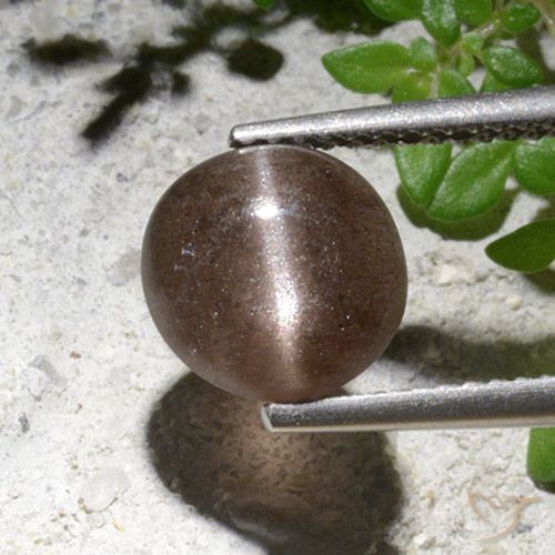 2.76ct Natural Marrom Escapolita Olho de Gato, Redondo, Translúcido