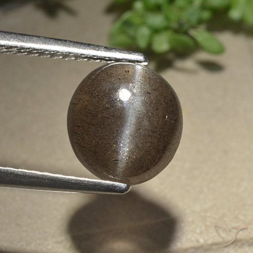 2.54ct Natural Umber Brown Escapolita Olho de Gato, oval, Translúcido
