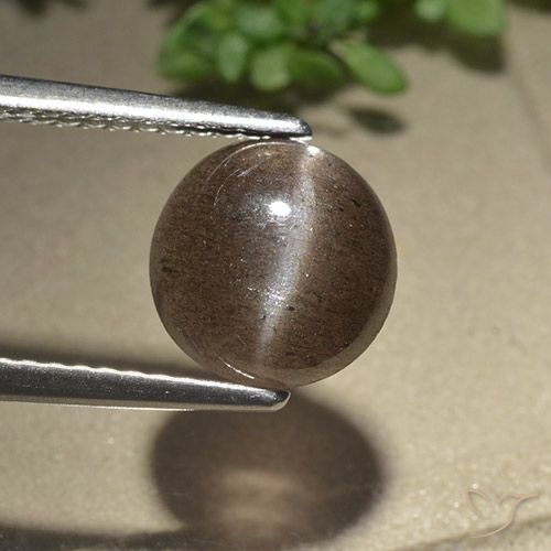 2.28ct Natural Castanho médio Escapolita Olho de Gato, Redondo, Translúcido
