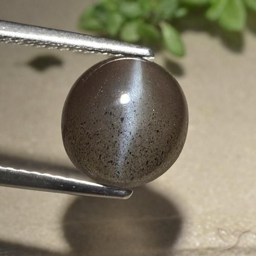 3.06ct Natural Espresso Marrom Escapolita Olho de Gato, Redondo, Translúcido