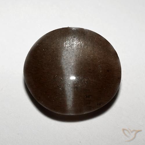 3.10ct Natural Chocolate marrom Escapolita Olho de Gato, Redondo, Translúcido