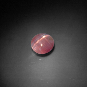 Cat's eye tourmaline rosa natural 1,04ct, transparente, transparente/translúcido