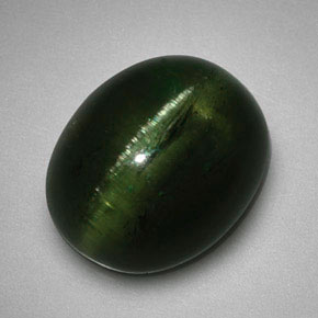Cat's eye tourmaline verde natural 5,99ct, corte oval, translúcido