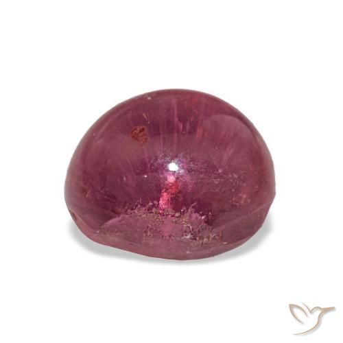 Cat's eye tourmaline rosa natural 7,27ct, corte oval, translúcido