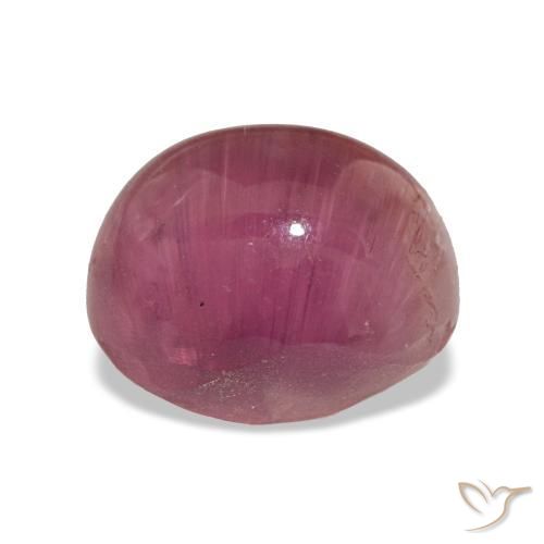 Cat's eye tourmaline rosa natural 7,02ct, corte oval, translúcido