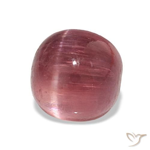 Cat's eye tourmaline rosa natural 2,73ct, corte oval, transparente