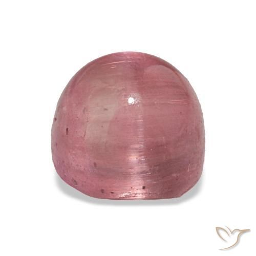 Cat's eye tourmaline rosa natural 2,73ct, corte oval, transparente