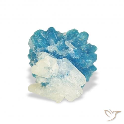 1.30ct Natural Azul Azure Elétrico cavassita, Chique, Opaco