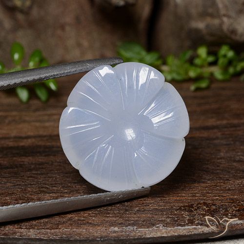 11.84ct Natural Violeta Azul Calcedônia, Flor cortada, Translúcido