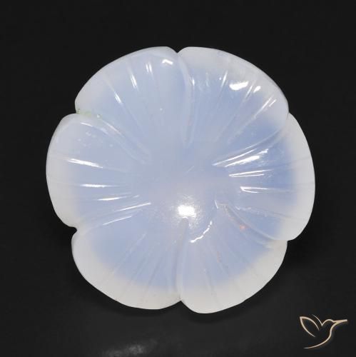 12.91ct Natural céu azul claro Calcedônia, Flor cortada, Translúcido