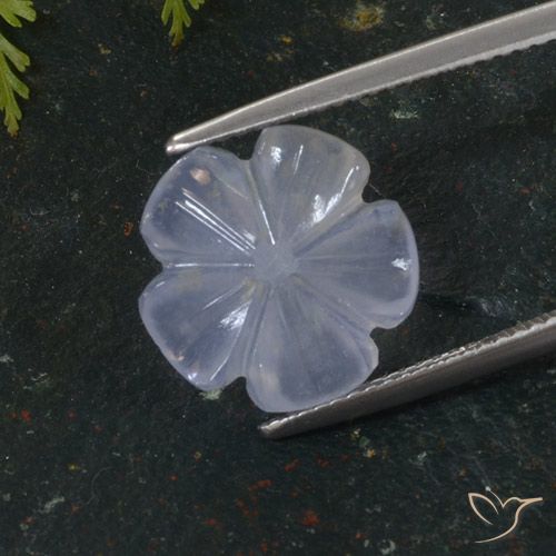 5.64ct Natural Azul púrpura claro Calcedônia, Flor cortada, Translúcido