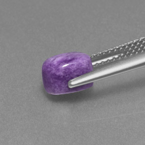 Charoíta violeta natural 1,50ct, corte oval, opaco