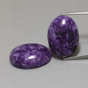 Pedras preciosas de Charoite Tolet natural de  ct, oval, Opaco