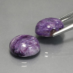 Pedras preciosas de charoíta violeta natural de  ct, corte oval, opaco