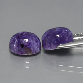 Pedras preciosas de charoíta violeta natural de  ct, corte oval, opaco