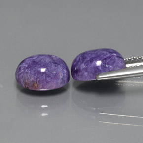 Pedras preciosas de charoíta violeta natural de  ct, corte oval, opaco