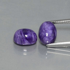Pedras preciosas de charoíta violeta natural de  ct, corte oval, opaco