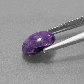 Charoíta violeta natural 1,54ct, corte oval, opaco