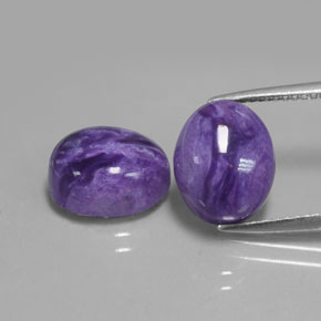 Pedras preciosas de Charoite Tolet natural de  ct, Corte Oval, Opaco
