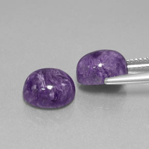 Pedras preciosas de charoíta violeta natural de  ct, corte oval, opaco