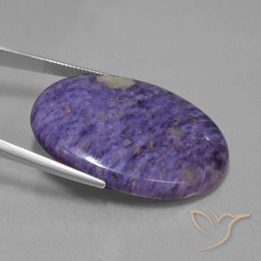 Charoite Violeta médio Natural 62.45ct, oval, Opaco