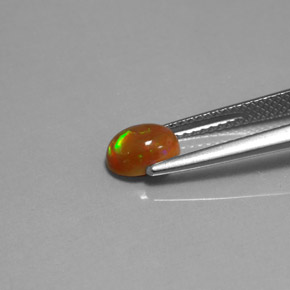 Opala chocolate multicolorido natural 0,63ct, transparente, transparente/translúcido