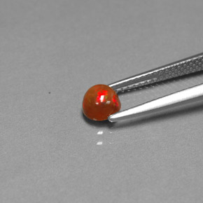 Opala chocolate multicolorido natural 0,45ct, transparente, transparente/translúcido