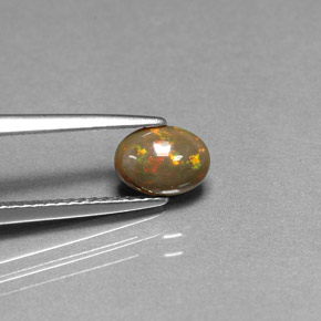 Opala chocolate multicolorido natural 0,46ct, corte oval, opaco