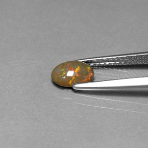 Opala chocolate multicolorido natural 0,46ct, corte oval, opaco
