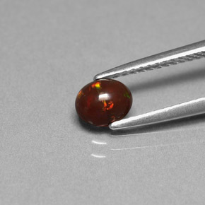 Opala de Chocolate Multicolorido Natural 0.43ct, Corte Oval, Opaco