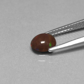 Opala chocolate multicolorido natural 0,49ct, corte oval, opaco