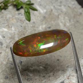 Opala chocolate multicolorido natural 7,66ct, corte oval, opaco