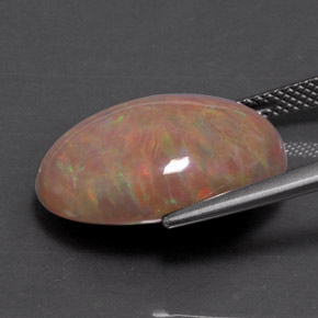 Opala chocolate multicolorido natural 9,78ct, corte oval, opaco