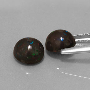 Pedras preciosas de opala chocolate multicolorido natural de  ct, corte redondo, opaco