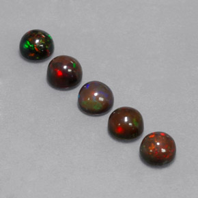 Pedras preciosas de opala chocolate multicolorido natural de  ct, corte redondo, opaco