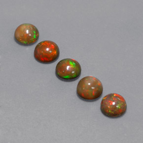 Pedras preciosas de opala chocolate multicolorido natural de  ct, corte redondo, opaco